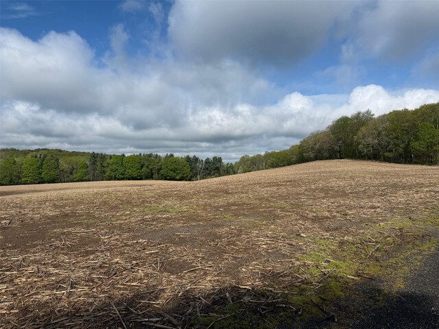 Skunks Misery Rd, Millerton, NY 12546 - photo 6