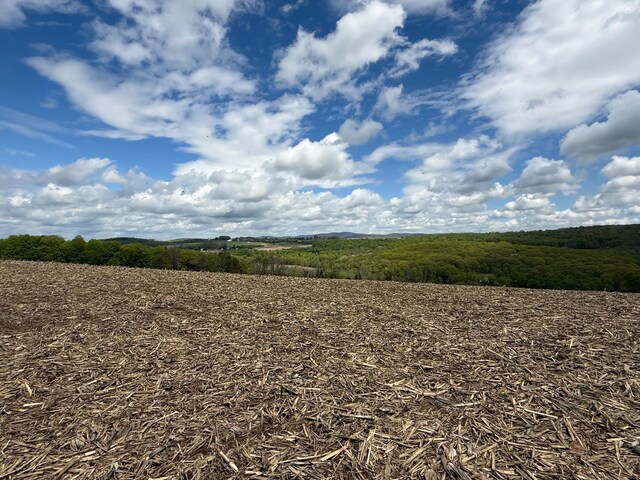 Skunks Misery Rd, Millerton, NY 12546 - photo 7
