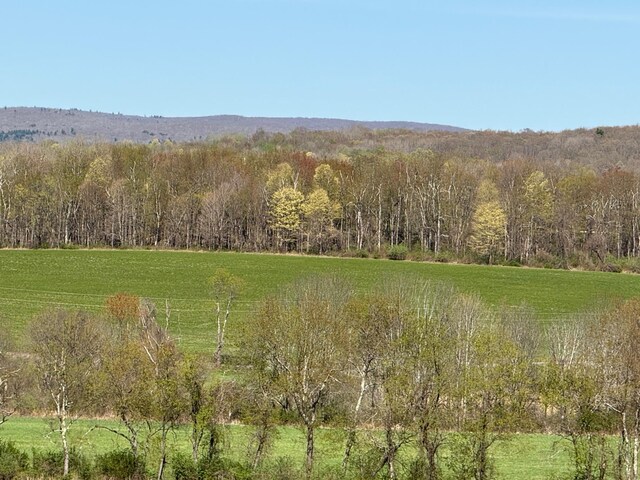 Skunks Misery Rd, Millerton, NY 12546 - photo 10