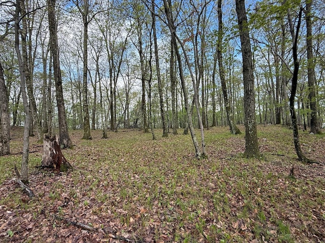 Skunks Misery Rd, Millerton, NY 12546 - photo 11