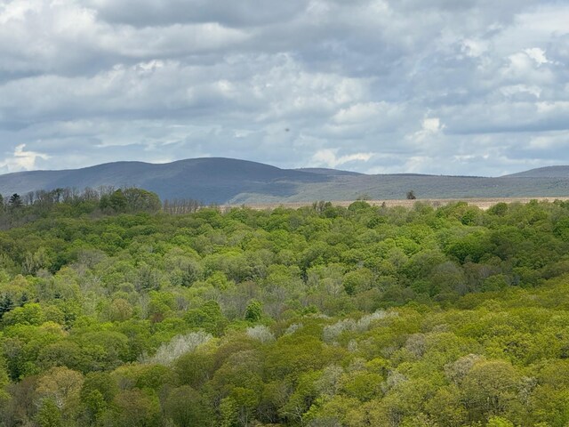Skunks Misery Rd, Millerton, NY 12546 - photo 3