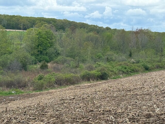 Skunks Misery Rd, Millerton, NY 12546 - photo 12