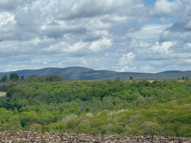 Skunks Misery Rd, Millerton, NY 12546 - photo 17