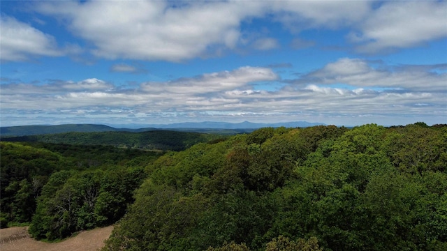 Skunks Misery Rd, Millerton, NY 12546 - photo 1