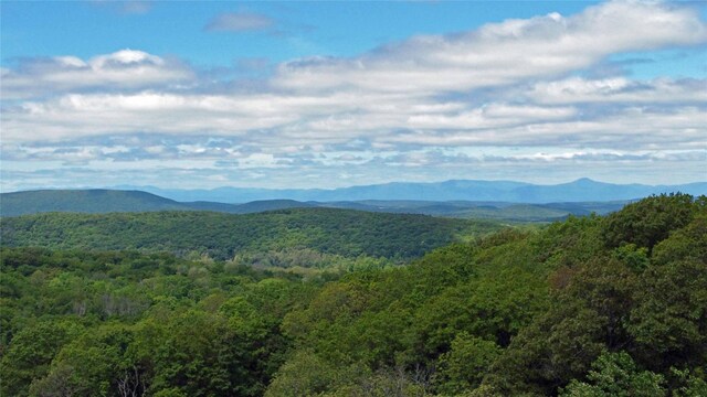 Skunks Misery Rd, Millerton, NY 12546 - photo 19