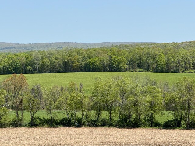 Skunks Misery Rd, Millerton, NY 12546 - photo 21