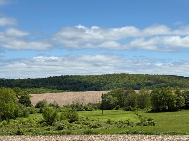Skunks Misery Rd, Millerton, NY 12546 - photo 22