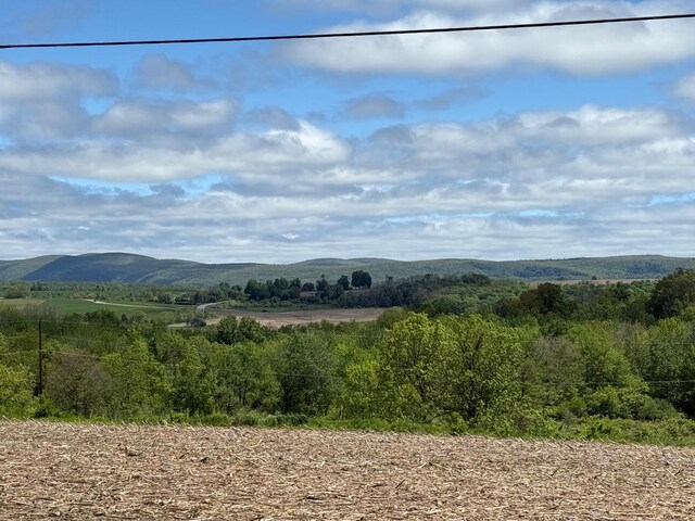 Skunks Misery Rd, Millerton, NY 12546 - photo 23
