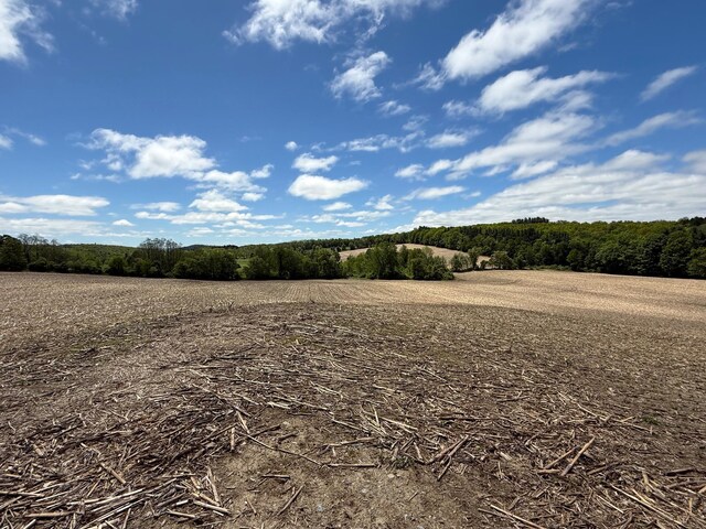 Skunks Misery Rd, Millerton, NY 12546 - photo 24
