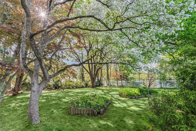 359 Old Bridge Rd, East Northport, NY 11731 - view of yard