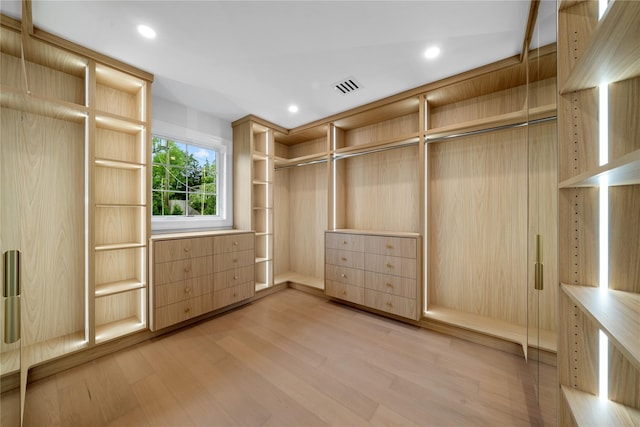 46 Snapdragon Ln, Roslyn Heights, NY 11577 - walk in closet featuring light wood finished floors