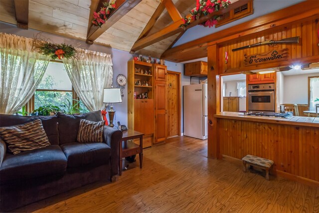 57 Empire Dr, Patterson, NY 12563 - living area featuring light wood finished floors, plenty of natural light, and wooden ceiling