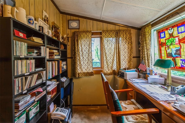 57 Empire Dr, Patterson, NY 12563 - office area with vaulted ceiling, carpet floors, and wooden walls