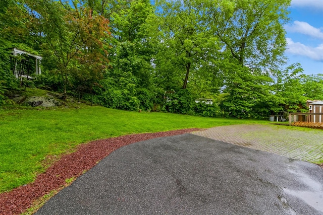 57 Empire Dr, Patterson, NY 12563 - view of green lawn