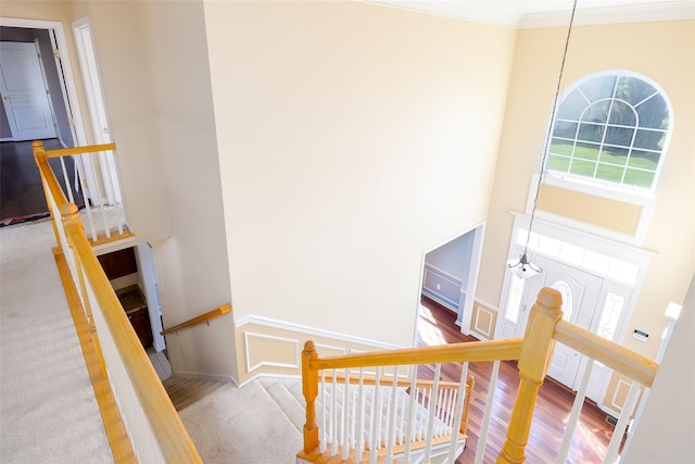 33 Avolet Ct, Mount Sinai, NY 11766 - stairway featuring ornamental molding, wood finished floors, and a towering ceiling