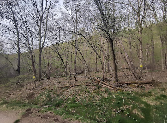 Chiloway Rd, Hancock, NY 13783