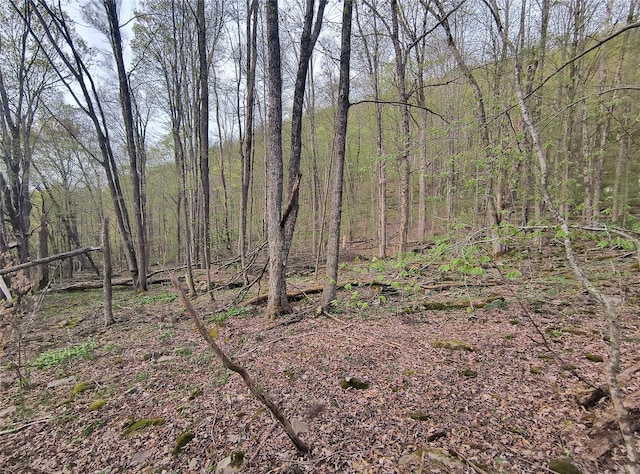 Chiloway Rd, Hancock, NY 13783