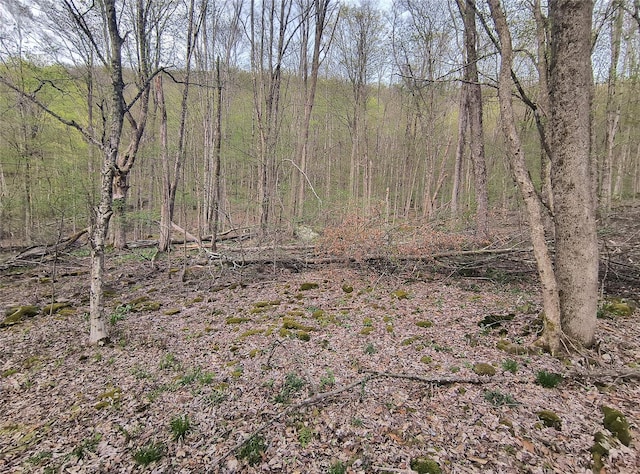 Chiloway Rd, Hancock, NY 13783