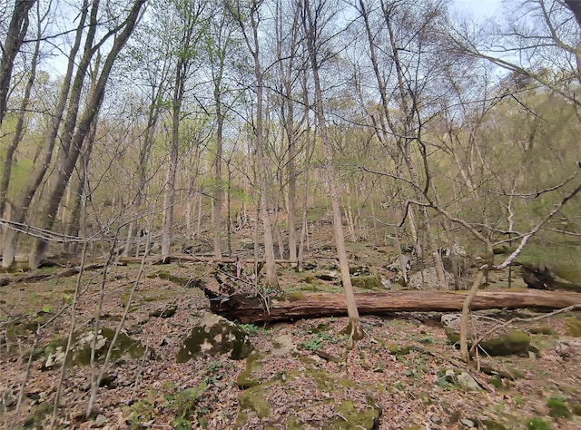 Chiloway Rd, Hancock, NY 13783