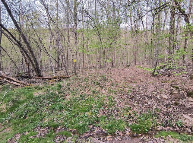 Chiloway Rd, Hancock, NY 13783