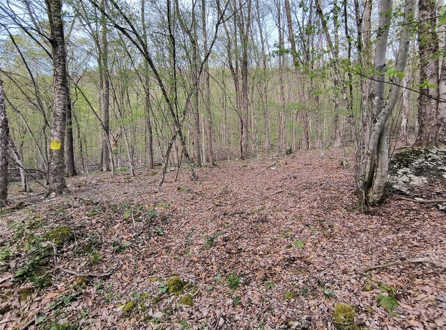 Chiloway Rd, Hancock, NY 13783