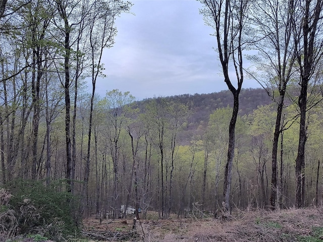 Chiloway Rd, Hancock, NY 13783
