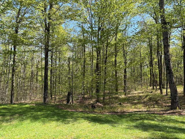 456 Anderson Rd, Parksville, NY 12768 - view of woods