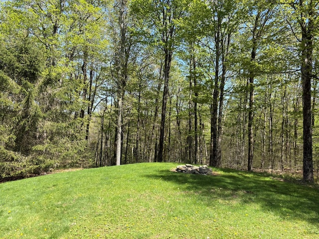 456 Anderson Rd, Parksville, NY 12768 - view of grassy yard featuring a wooded view