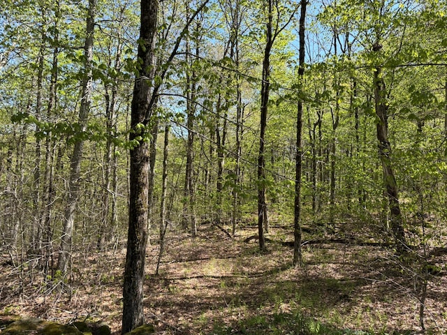 456 Anderson Rd, Parksville, NY 12768 - view of woods