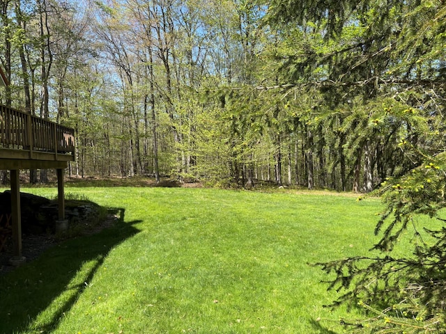 456 Anderson Rd, Parksville, NY 12768 - view of grassy yard featuring a deck