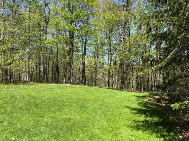 456 Anderson Rd, Parksville, NY 12768 - view of grassy yard with a view of trees