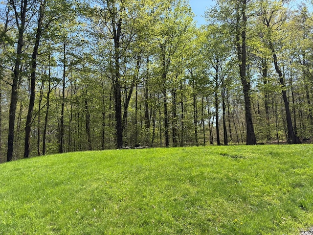 456 Anderson Rd, Parksville, NY 12768 - view of grassy yard featuring a forest view