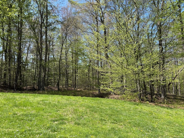 456 Anderson Rd, Parksville, NY 12768 - view of grassy yard featuring a view of trees
