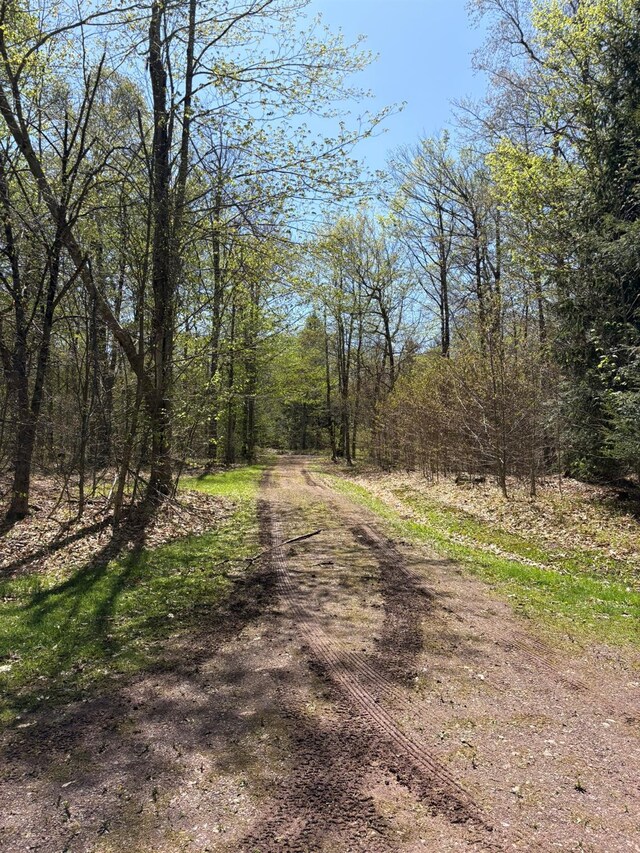 456 Anderson Rd, Parksville, NY 12768 - view of dirt / gravel road