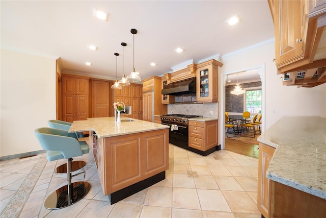 kitchen with stainless steel range, under cabinet range hood, crown molding, a sink, and tasteful backsplash