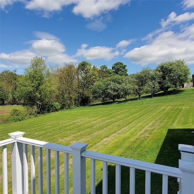 111 Cream St, Poughkeepsie, NY 12601 - view of green lawn