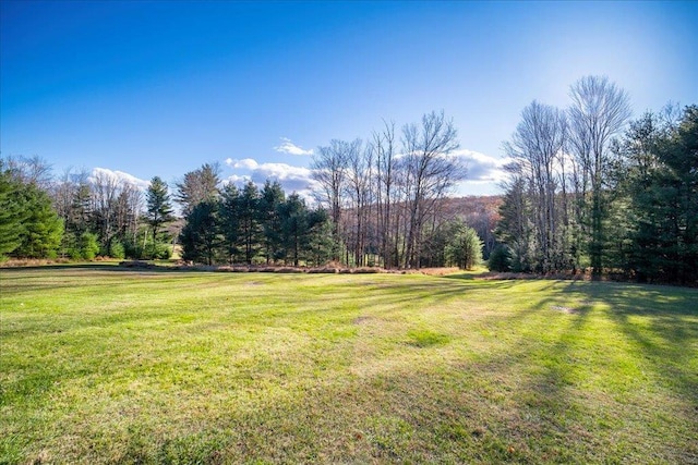 236 Budd Rd, Wurtsboro, NY 12788 - view of grassy yard with a forest view