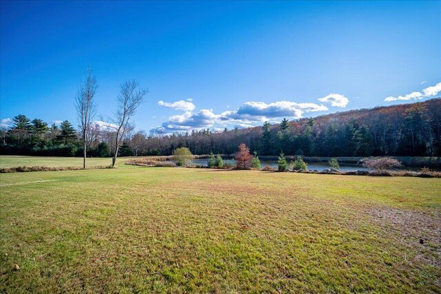 236 Budd Rd, Wurtsboro, NY 12788 - view of grassy yard featuring a water view and a view of trees