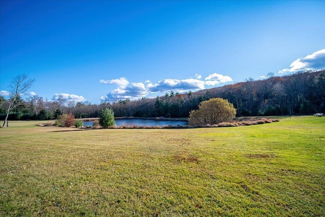 236 Budd Rd, Wurtsboro, NY 12788 - view of grassy yard featuring a water view and a view of trees