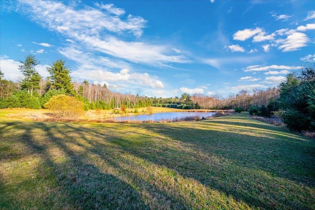 236 Budd Rd, Wurtsboro, NY 12788 - view of green lawn featuring a water view and a view of trees