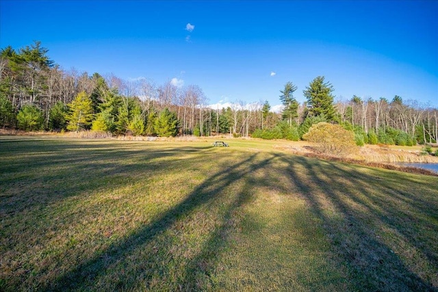 236 Budd Rd, Wurtsboro, NY 12788 - view of green lawn featuring a wooded view