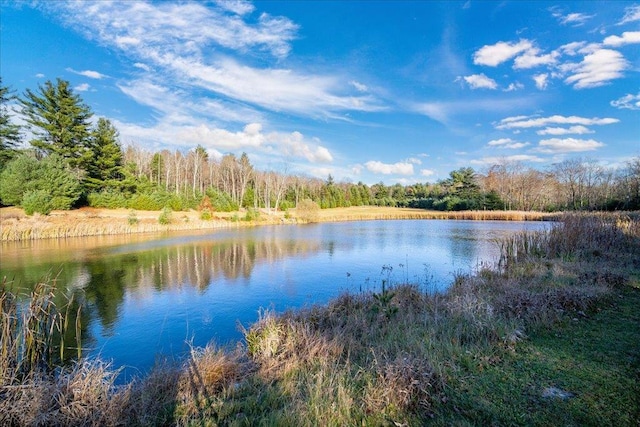 236 Budd Rd, Wurtsboro, NY 12788 - water view featuring a heavily wooded area