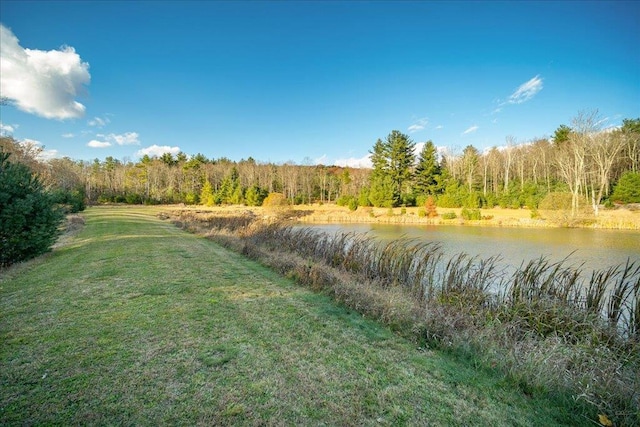 236 Budd Rd, Wurtsboro, NY 12788 - view of grassy yard with a wooded view and a water view