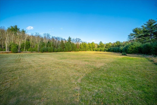 236 Budd Rd, Wurtsboro, NY 12788 - view of grassy yard with a view of trees