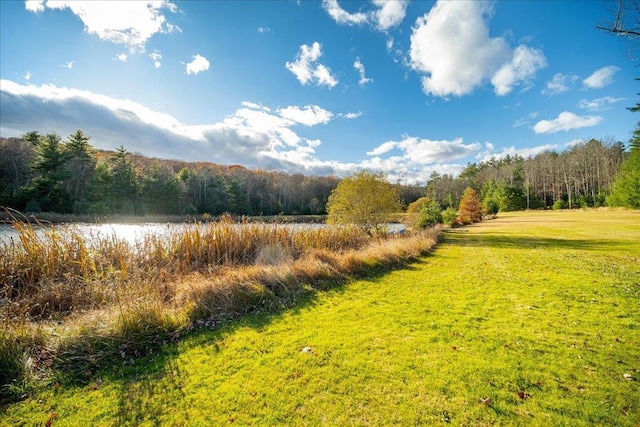 236 Budd Rd, Wurtsboro, NY 12788 - view of green lawn with a view of trees and a water view