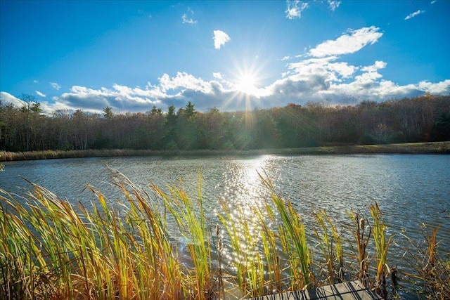 236 Budd Rd, Wurtsboro, NY 12788 - water view featuring a forest