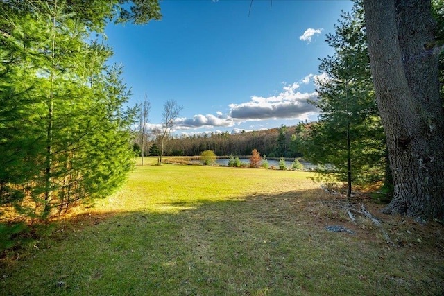 236 Budd Rd, Wurtsboro, NY 12788 - view of green lawn