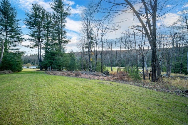 236 Budd Rd, Wurtsboro, NY 12788 - view of grassy yard featuring a wooded view and a water view