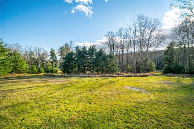 236 Budd Rd, Wurtsboro, NY 12788 - view of green lawn