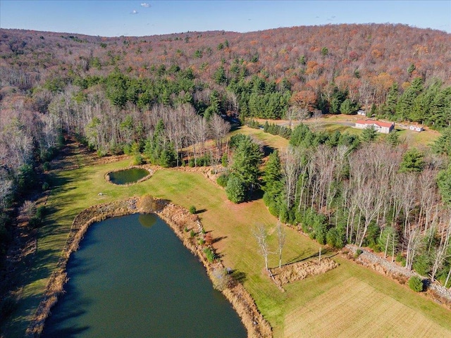 236 Budd Rd, Wurtsboro, NY 12788 - aerial view of property and surrounding area with a forest and a nearby body of water